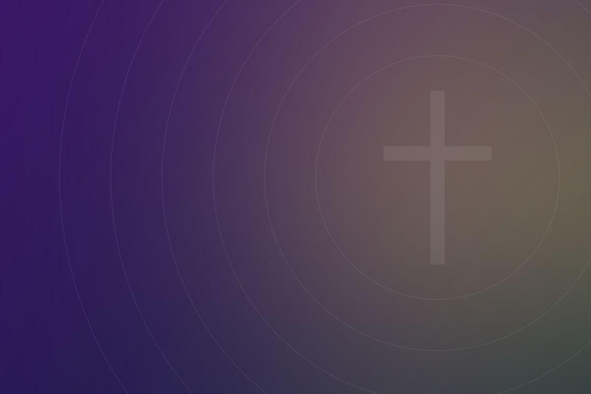 CFANM Foundation activities